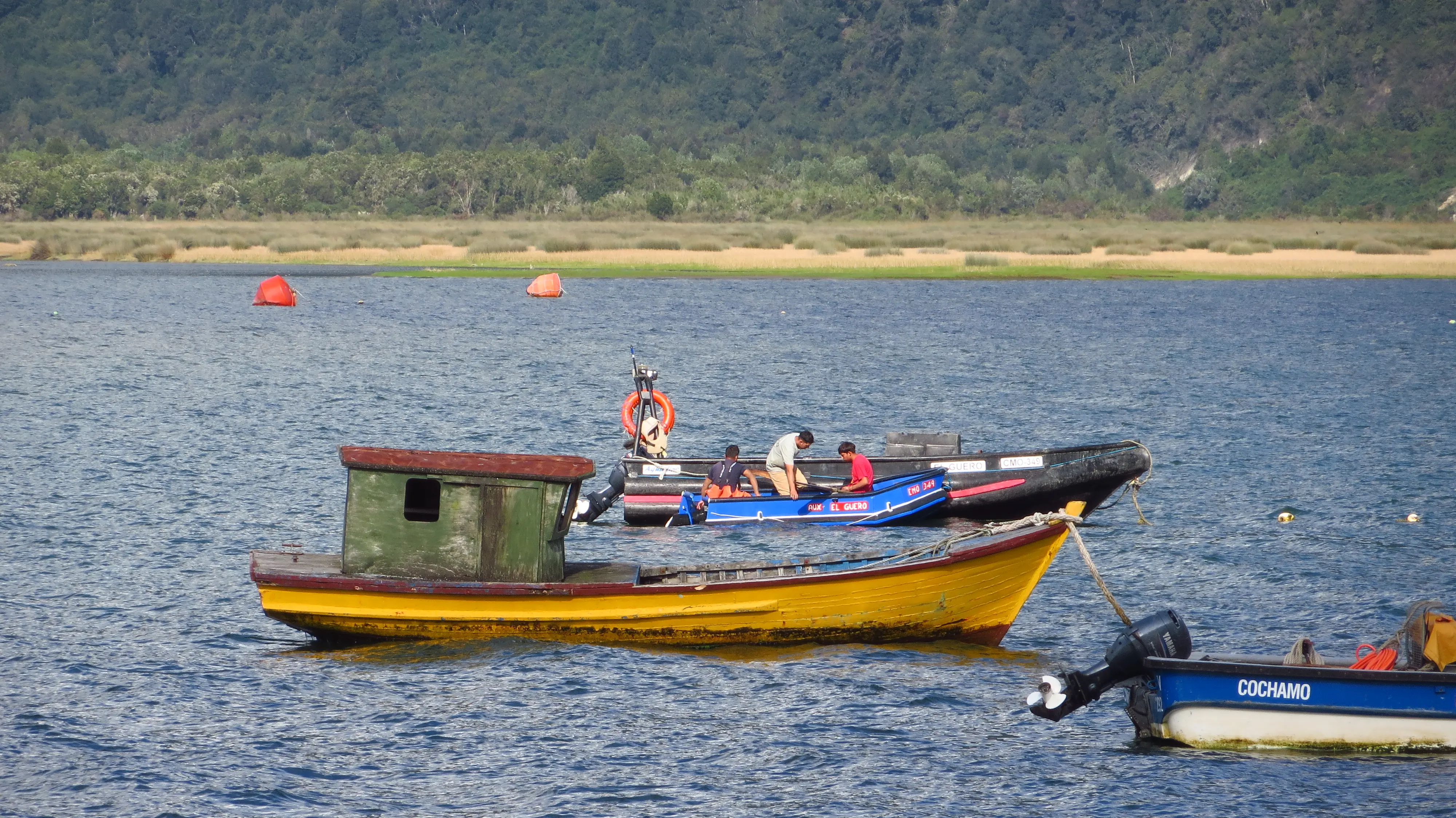 Pescadores Artesanales