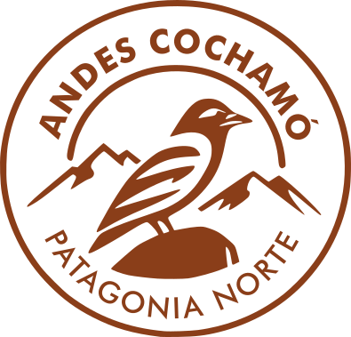 Andes Cochamó