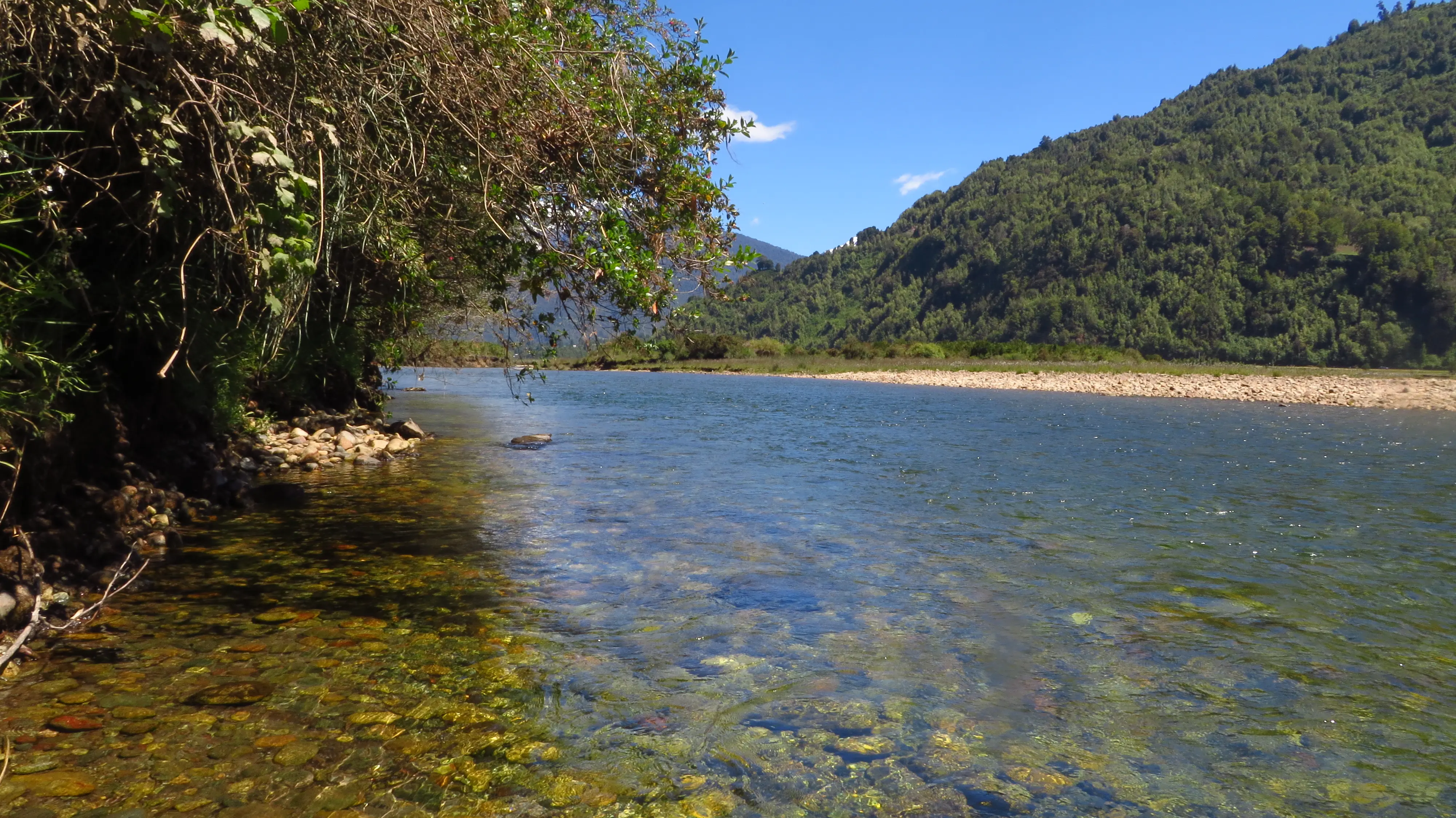 Bosque nativo de Cochamó